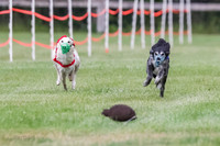 Silken Windhound