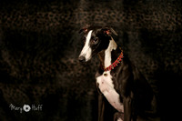 HO4A1726-Edit-Edit