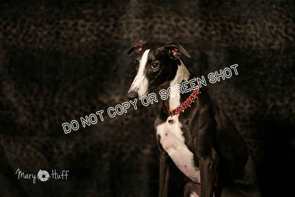 HO4A1726-Edit-Edit