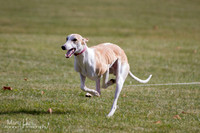 IMG_0336