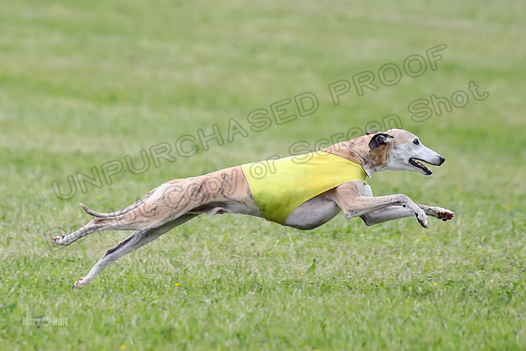 Prelim Veterans 7, RickyBobbie Parker-0290
