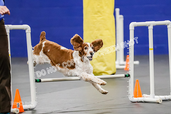 AE4I9690