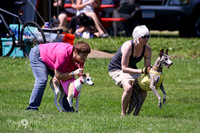 6N1A3862