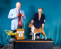 AWARD OF MERIT