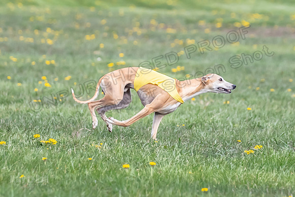 1 Prelim FCh A2 Keegan Really Rush-6664