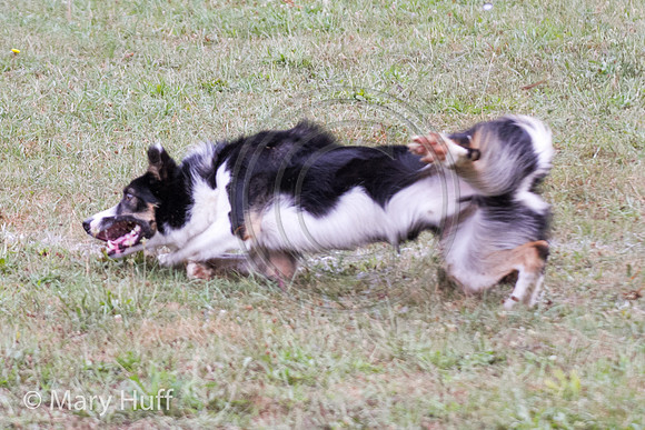 IMG_0592