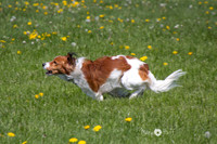 IMG_1193
