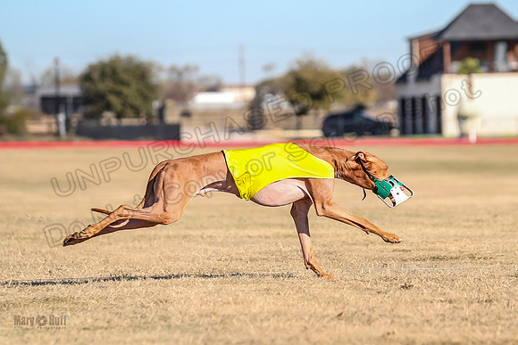 1Prelims Spec 2 Tango Cuest-0886