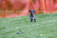 IMG_0705