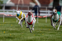 WRA, Prg 1, Race 2, Dash, Reas Mika Buzzsaw Moonstruck Elvis-8255