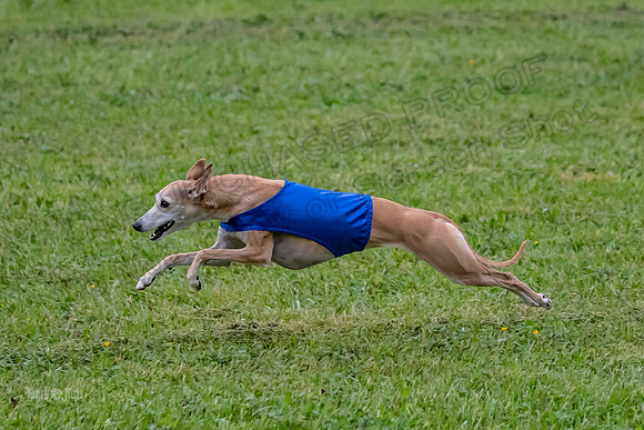 Prelim Open C1, Wrath Ozzy Fia-3926