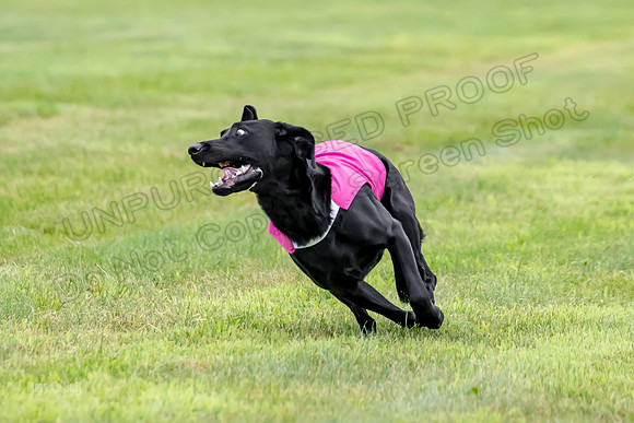 Prelims Rowan-0857