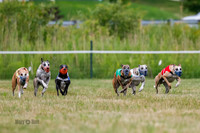 Prg 2, Race 4, Marty, Bogie, Denim, Meatloaf, Blaze, Raz-3