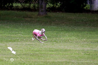 6N1A2021