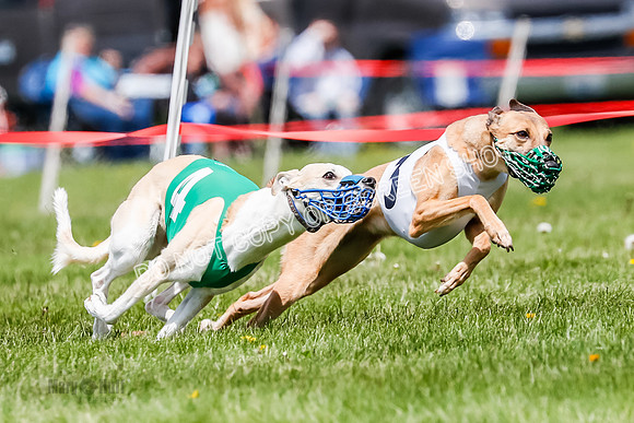 NOTRA Program 3, Race 3, Eddie Elvis Picanha Coyote-2-17