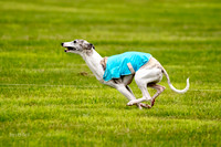 Prelims Misty-0640