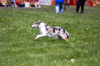 IMG_1271