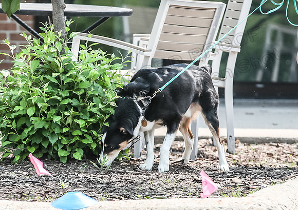 AE4I0546