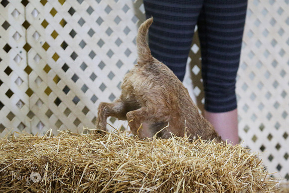 HO4A8761