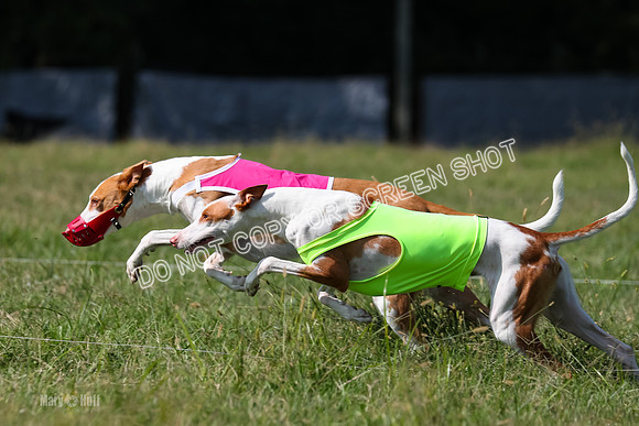 Open Prelim B2, Latte, Wizard-7873