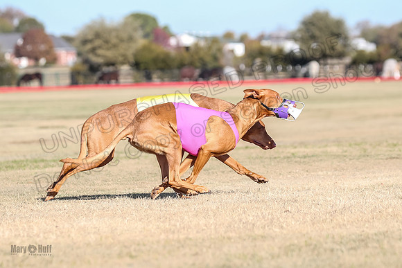 1Prelims Spec 1 Calyber Jasper-0779