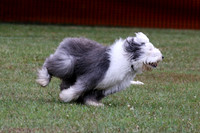 6N1A6767