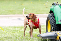 L1 Vehicle-6890