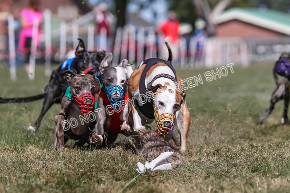 Prg 4, Race 4, Elia Zivah Moki Sansa Patsy-0167