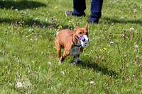 IMG_1590