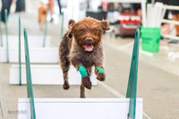 AE4I3326