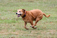 6N1A6602