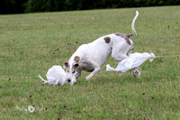 6N1A2080