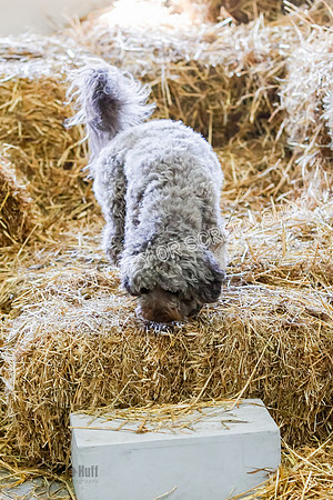 _E4I6476
