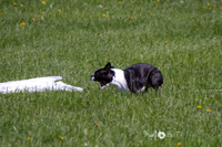 IMG_1047