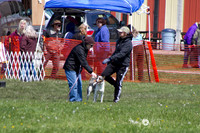 IMG_1209