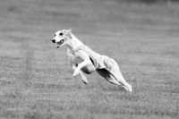 Prelims Misty-0635-2