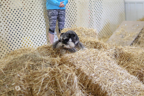 HO4A7532