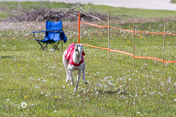 HO4A4230