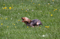 IMG_1236