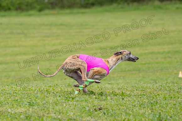 Prelims Open B1, Maverick Checkmate Sparky-3479