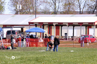 Kooikerhondje