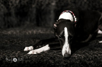 HO4A1698-Edit
