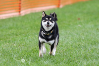 Chaplin 1 Tux