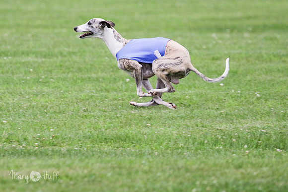 6N1A2595