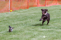 IMG_0699