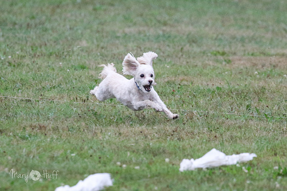 6N1A8613