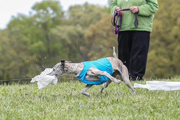 Finals Vets 5, RickyBobby Blue Jewel-2451