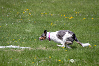 IMG_1219