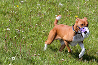 IMG_1592
