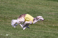 FCH Silken PRELIM